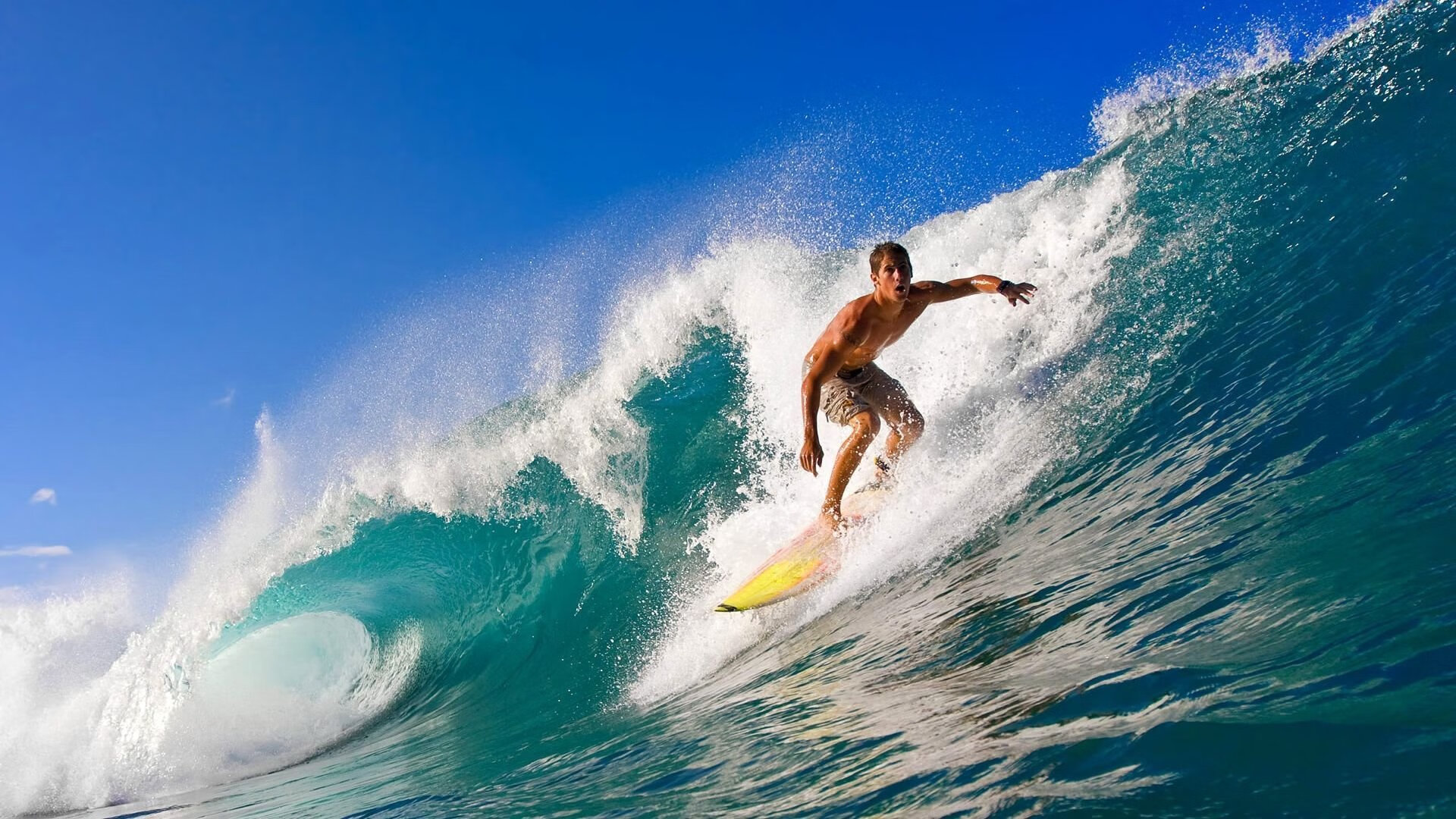 体育新闻中心更新官方LOGO及视觉识别系统，体育新闻网址大全