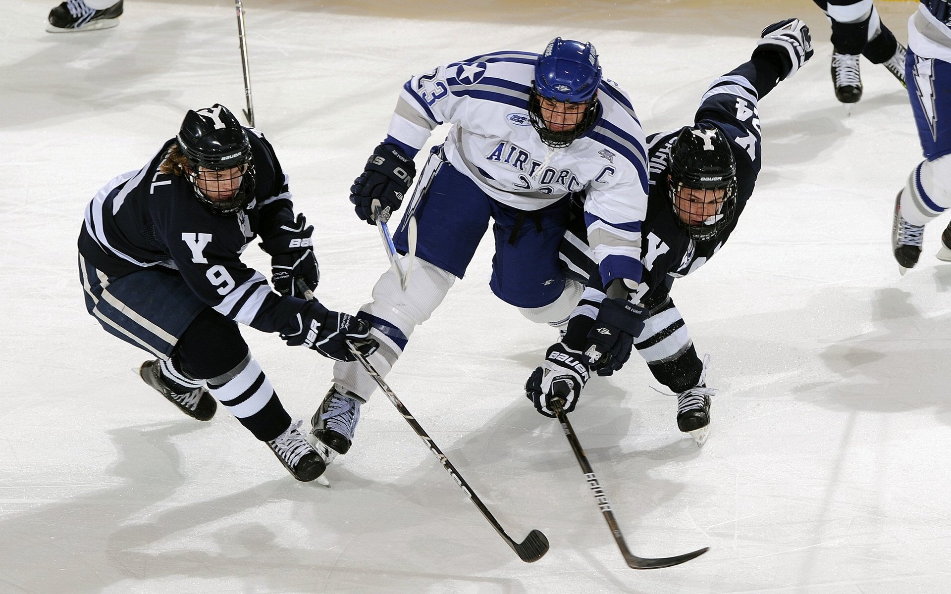 公牛调整攻防节奏增强转换能力,公牛加强版