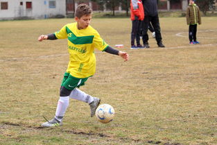 九游官网入口地址-中国足球运动员伤病康复技术研究，足球运动员受伤治疗费用谁出